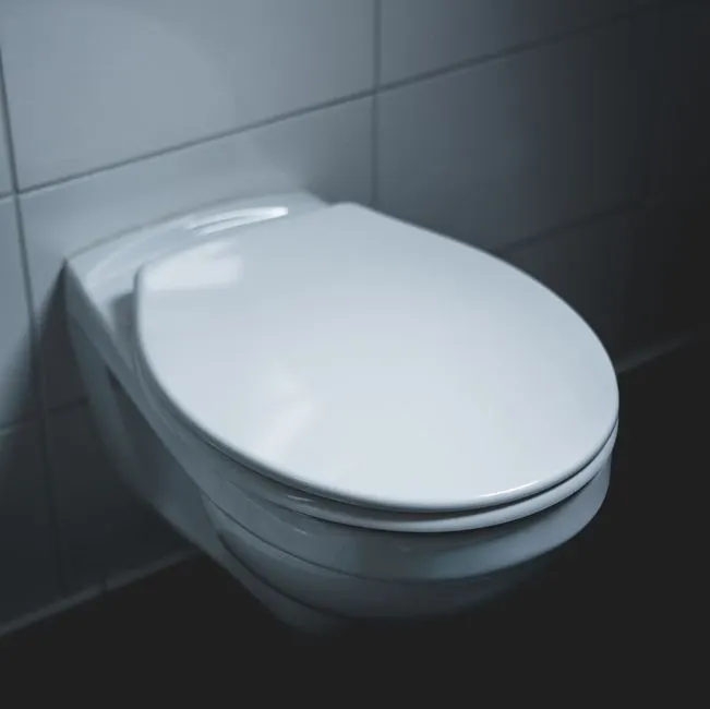 Dependable Toilet Repair across Phoenix, Arizona