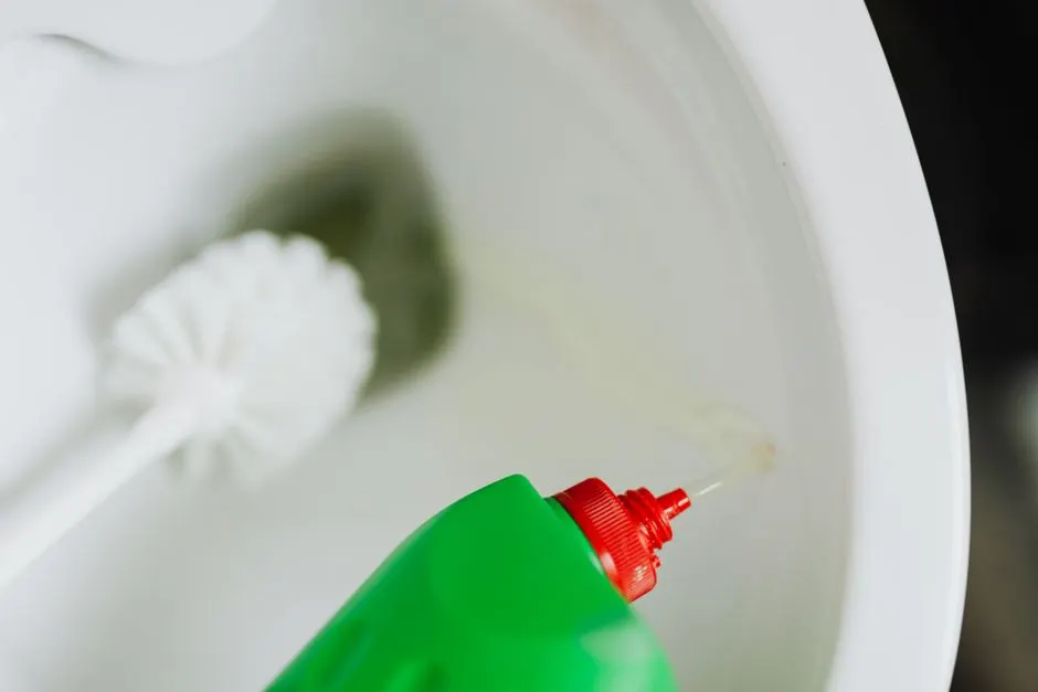 Dependable Toilet Repair across Phoenix, Arizona