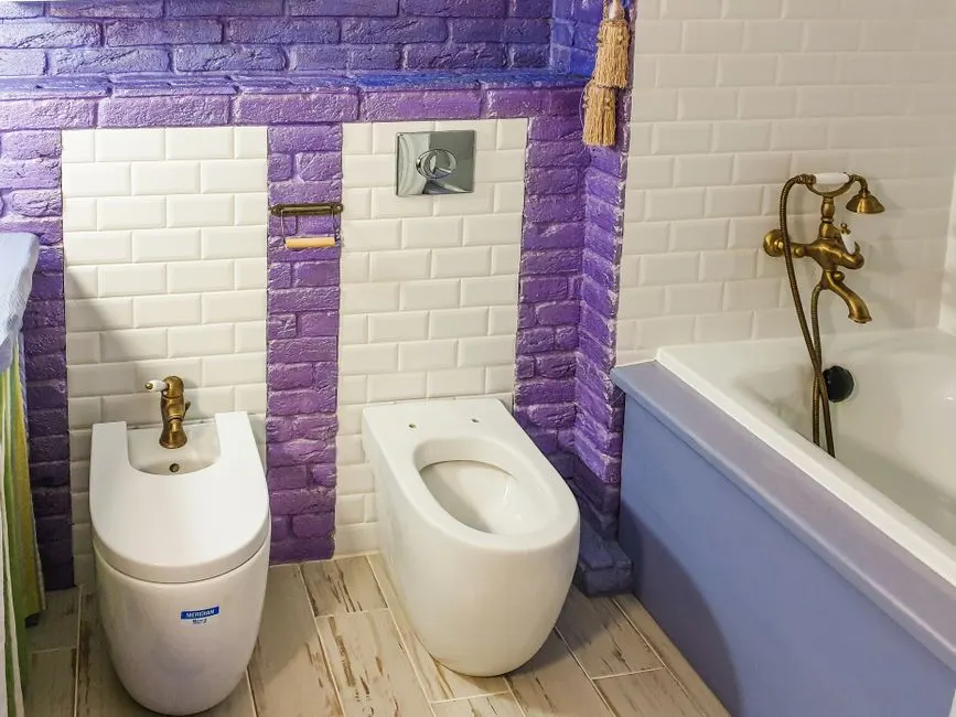 Experienced Toilet Repair professionals at work