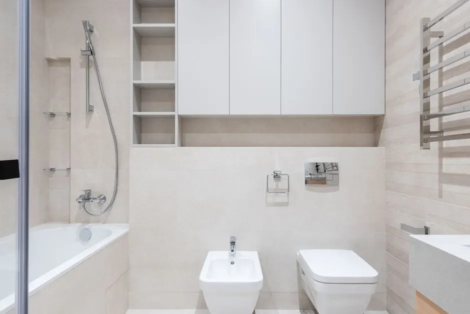Experienced Toilet Repair professionals at work