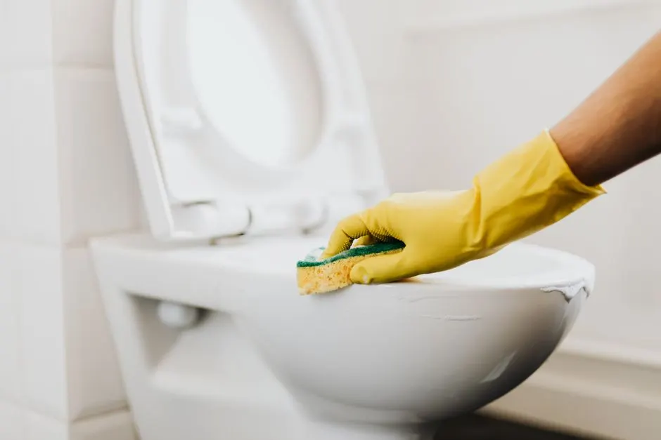 Local Toilet Repair team in Phoenix