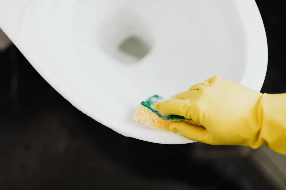 Phoenix Toilet Repair Co — your local Toilet Repair team