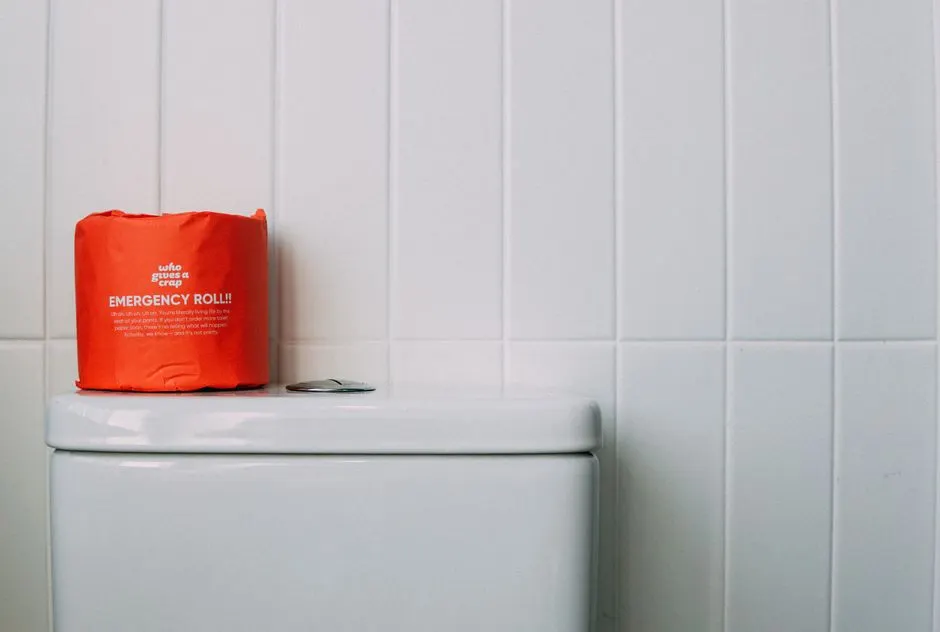 Professional Toilet Emergency Repair in Phoenix