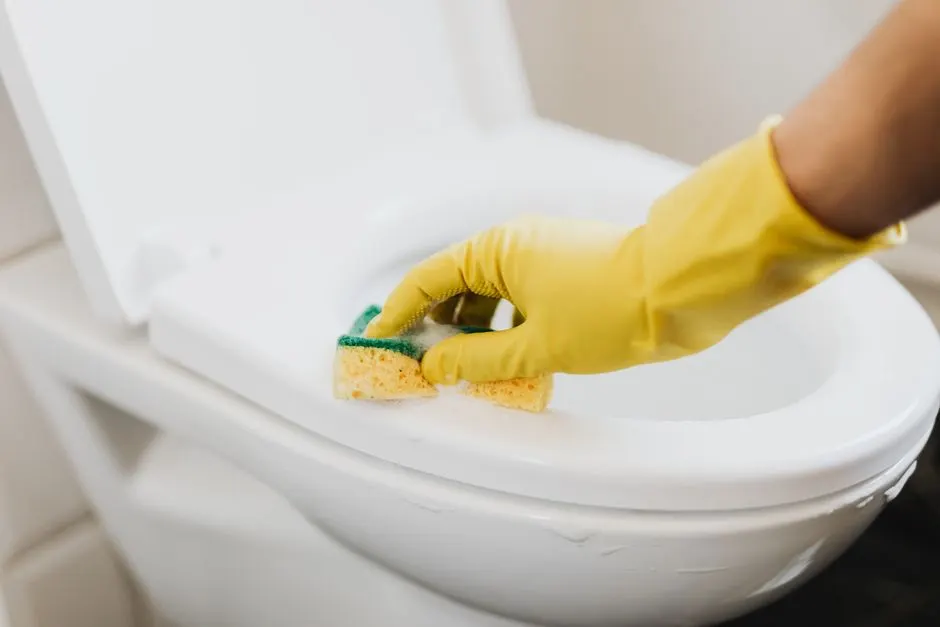 Quality Toilet Installation in Phoenix