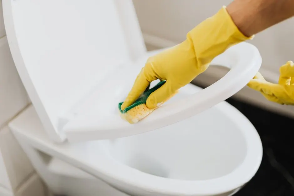 Toilet Odor Removal